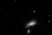 NGC 4490 (Cocoon)