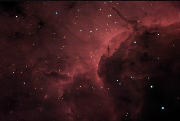 IC 5067 (Pelican Nebula)